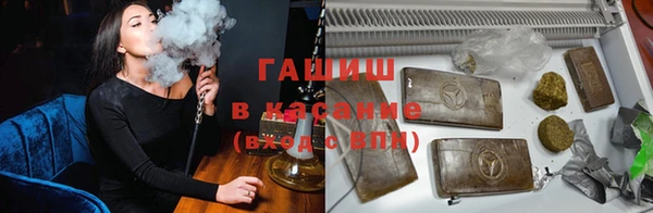 spice Богородицк