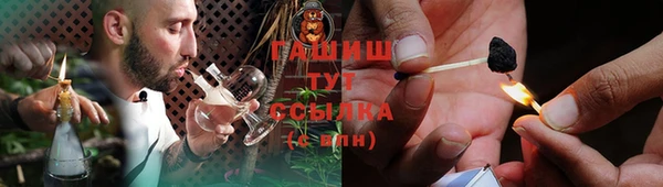 spice Богородицк