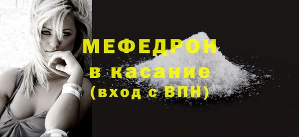 spice Богородицк