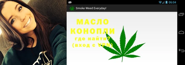 spice Богородицк