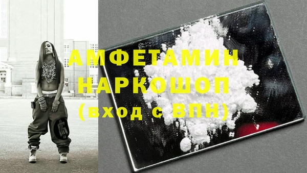 spice Богородицк