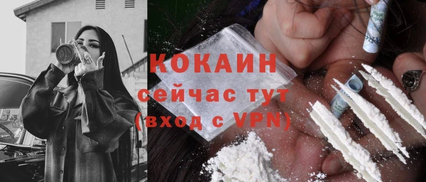spice Богородицк