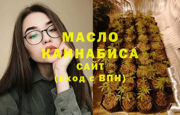 spice Богородицк