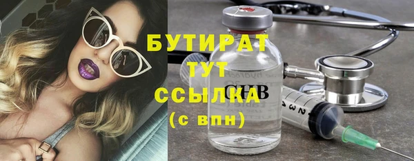 spice Богородицк